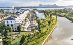 DN phát triển bền vững gắn với kinh tế xanh