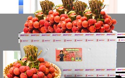 Vietjet chung tay đưa vải thiều Việt Nam “xuất ngoại”