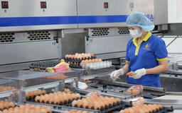 Sản xuất thực phẩm sạch, từ chủ trương đến thực hiện 