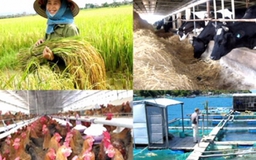 Chuẩn bị đầy đủ nguồn vốn để đáp ứng nhu cầu phát triển 'Tam nông'