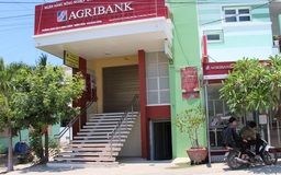 Agribank thông tin về vụ việc tại Phòng giao dịch Ninh Diêm, Khánh Hoà