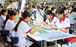 Tăng cường hỗ trợ DN nhỏ do nữ làm chủ