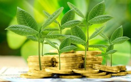 Ngân hàng Phát triển Việt Nam tăng tốc trên hành trình 'xanh hoá' 