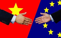 Giá trị thương mại Việt Nam-EU tăng 18% sau một năm thực hiện EVFTA