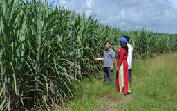 Agribank bền bỉ đưa Nghị quyết 'tam nông' vào cuộc sống