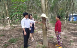 Agribank đồng hành, hỗ trợ hàng triệu phụ nữ Việt Nam nâng cao tiềm lực kinh tế