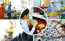 Thủ tướng chỉ thị tiếp tục hỗ trợ và phát triển doanh nghiệp