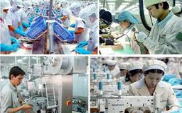 Hỗ trợ doanh nghiệp nâng cao năng suất, chất lượng sản phẩm