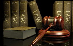 Đừng để kinh doanh tắc nghẽn vì “đợi” hướng dẫn