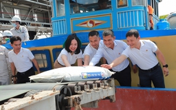 Hành trình 10 năm phát triển của thương hiệu Phân bón Cà Mau