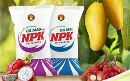 NPK Cà Mau: Bí quyết cho vụ mùa bội thu