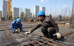 Trường hợp được ký phụ lục gia hạn hợp đồng