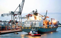 Hướng dẫn cân xác nhận khối lượng công-te-nơ vận tải biển tuyến quốc tế