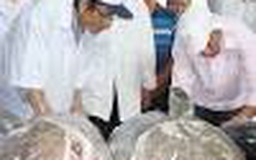 Đối thoại với DN Nhật Bản về lĩnh vực thực phẩm