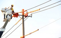 EVN SPC: 2 tháng đầu năm, tiết kiệm 195 triệu kWh