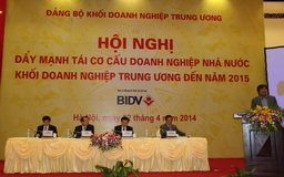 Đảng ủy Khối DN Trung ương lãnh đạo đẩy mạnh tái cơ cấu DN nhà nước