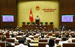 Chính thức thông qua Luật Hỗ trợ doanh nghiệp nhỏ và vừa