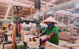 Thêm nhiều DN được hỗ trợ phát triển bền vững