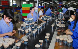 Mở rộng mạng lưới hỗ trợ tài chính cho doanh nghiệp
