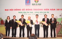 Đạm Cà Mau phấn đấu đạt doanh thu 5.500 tỷ năm 2018