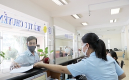 Hải quan không xử phạt vi phạm hành chính với lý do tác động từ dịch COVID-19