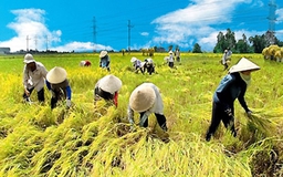 Quy định mới về thu phí nông nghiệp sẽ thuận lợi cho DN