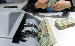 Mua lại công ty tại VN, chuyển vốn góp theo hình thức nào?