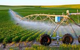 Cung cấp dịch vụ nông nghiệp có chịu thuế?