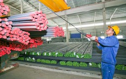 Bộ phản hồi thông tin doanh nghiệp thép chịu thủ tục kép