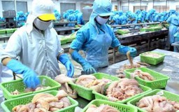 Chỉ cần 1 chứng từ kiểm tra duy nhất để thông quan