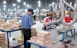 Không phải DN Nhà nước có bắt buộc áp dụng Luật Đấu thầu?