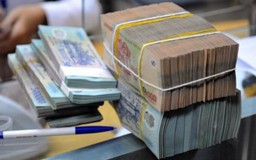 Khoản kinh phí nào bị dừng triển khai và hủy dự toán?