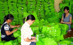 Cần có quy định mua sắm công với sản phẩm thân thiện môi trường