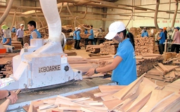 Vì sao dự án của Công ty Phát Lộc chưa được cấp phép?