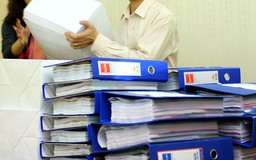 Công việc kiểm định là dịch vụ tư vấn hay phi tư vấn?