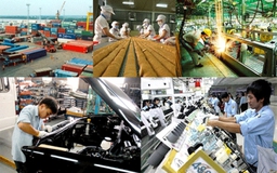 Quyền ủy thác mua bán hàng hóa của doanh nghiệp FDI 