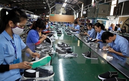 Có thể đề xuất bổ sung danh mục công việc nặng nhọc, độc hại 