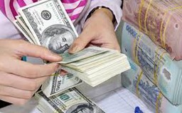 Có thể chào thầu và thanh toán hợp đồng bằng ngoại tệ?