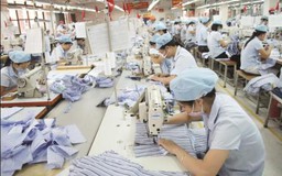 Được cộng dồn năm công tác để tính mua cổ phần ưu đãi?