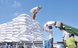 DN được tham gia đấu giá hạn ngạch nhập khẩu đường 