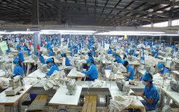 Nghĩa vụ tiếp tục sử dụng lao động khi sáp nhập doanh nghiệp