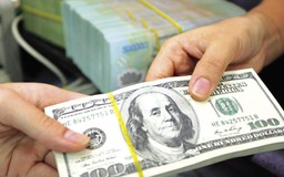 Có thể chuyển vốn vào trước khi được cấp chứng nhận đầu tư? 