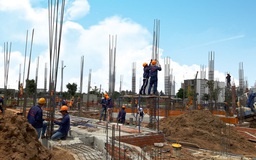 Căn cứ xác định dự án phải áp dụng Luật Đấu thầu