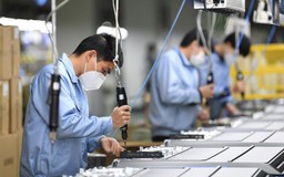 DN dừng hoạt động do thiếu nguyên liệu, lao động có được hỗ trợ?