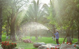Lợi thế phát triển nhân lực tại chỗ