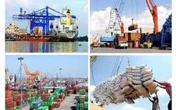 Năm 2014 - Cải cách thể chế tạo nên sự khác biệt
