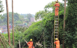 Ưu tiên của Tổng Công ty Điện lực miền Bắc trong mùa mưa bão