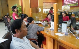 Agribank cam kết phục vụ hiệu quả xây dựng nông thôn mới