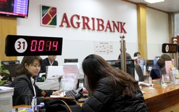 Agribank: Tạo nền tảng vững chắc cho giai đoạn phát triển mới