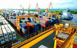 Doanh nghiệp Nhật 'sốc' vì phí cảng biển Hải Phòng